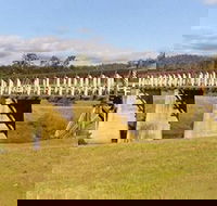 Historic Tabulam DeBurgh Timber Bridge - Accommodation Sunshine Coast