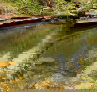 Hominy Creek Walking Track - Accommodation Sunshine Coast