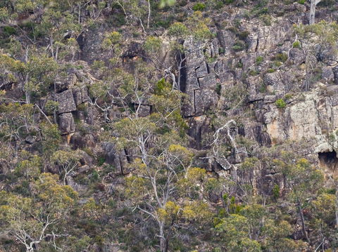 Horsnell Gully And Giles Conservation Parks - Accommodation Sunshine Coast 0