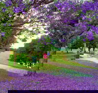 Howe Park - Accommodation Sunshine Coast