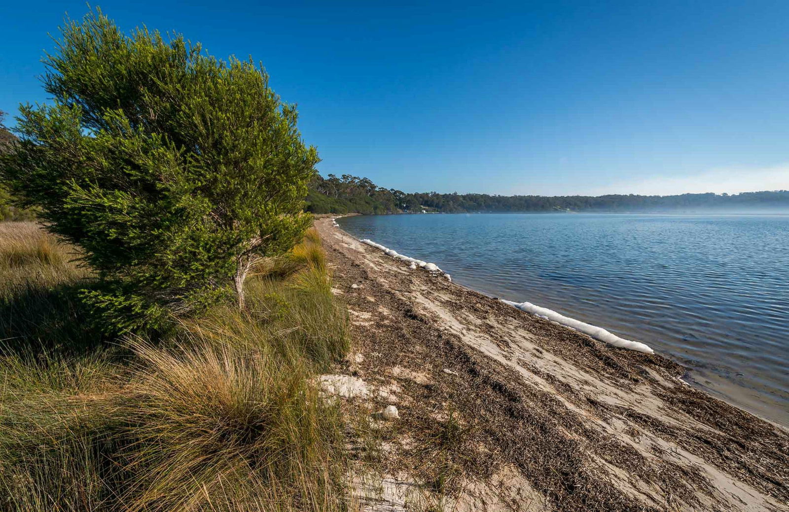 Wonboyn NSW Accommodation Sunshine Coast
