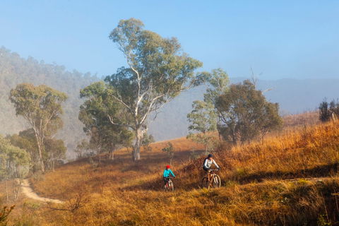Kambah Pool To Pine Island Walking Trail - Accommodation Sunshine Coast 0