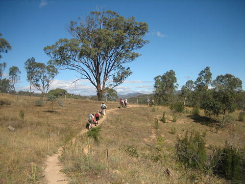 Kambah Pool To Pine Island Walking Trail - Accommodation Sunshine Coast 1