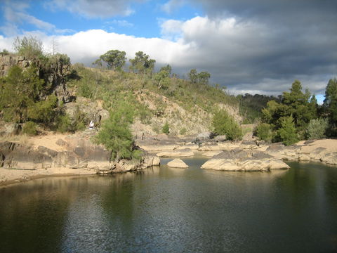 Kambah Pool To Pine Island Walking Trail - Accommodation Sunshine Coast 2