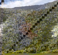 Kearneys Falls - Accommodation Sunshine Coast
