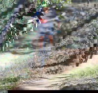 Kidsons Cycles - Accommodation Sunshine Coast