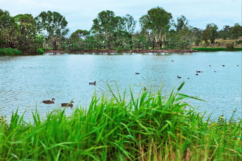 Lake Apex Park - Accommodation Sunshine Coast 1
