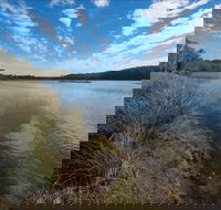 Lake Innes Nature Reserve - Accommodation Sunshine Coast