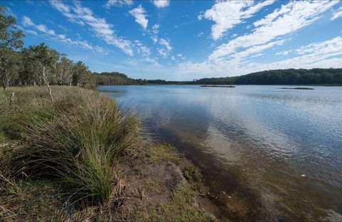 Lake Innes Nature Reserve - Accommodation Sunshine Coast 0