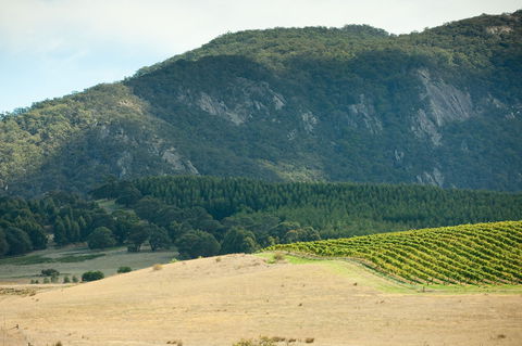 Langi Ghiran State Park - Accommodation Sunshine Coast 0