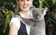 Lone Pine Koala Sanctuary - thumb 1