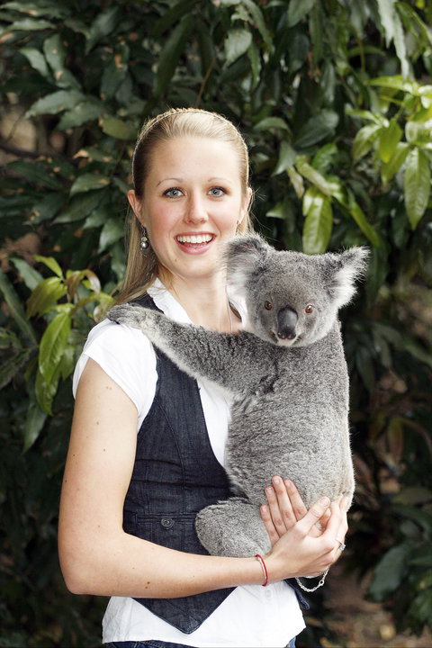 Lone Pine Koala Sanctuary - Accommodation Sunshine Coast 1