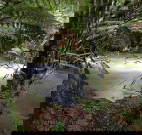 Marriotts Falls and Junee Caves - Accommodation Sunshine Coast