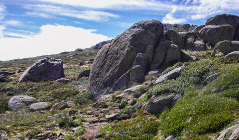 Mount Stillwell Walk - Accommodation Sunshine Coast 0