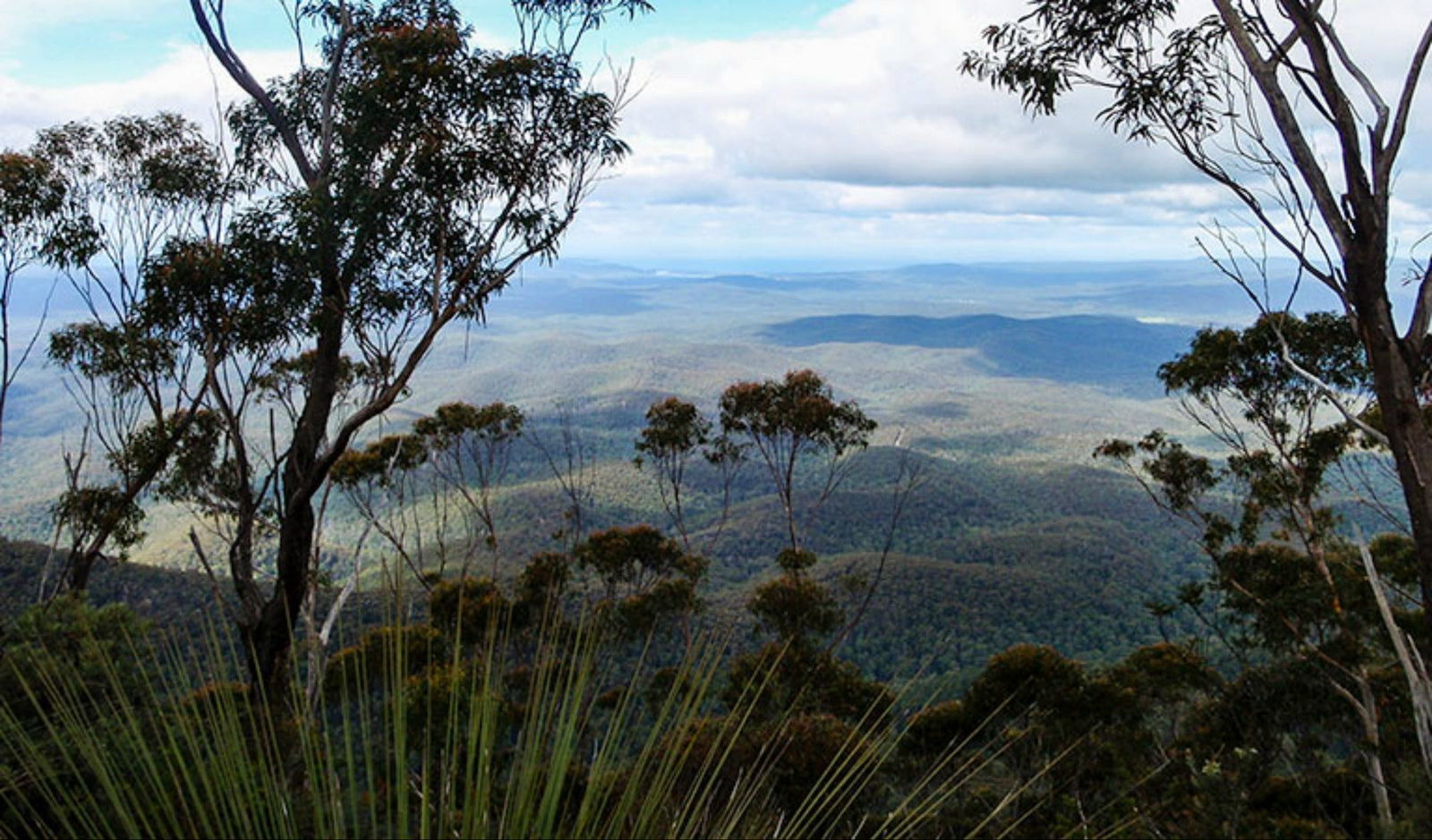 Towamba NSW Accommodation Sunshine Coast
