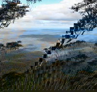 Mount Imlay National Park - Accommodation Sunshine Coast