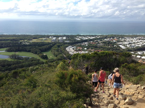 Mount Coolum National Park - Accommodation Sunshine Coast 1
