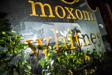 Moxom And Whitney - Accommodation Sunshine Coast 2