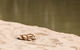 Murrumbidgee River - thumb 2