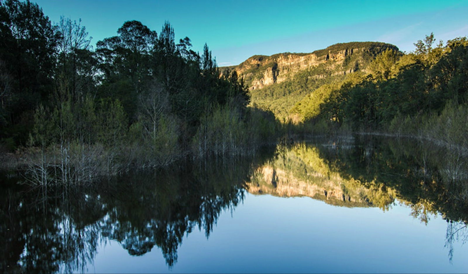 Wattle Ridge NSW Accommodation Sunshine Coast