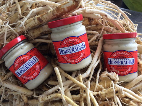 Newman's Horseradish Farm And Rusticana Wines - Accommodation Sunshine Coast 0