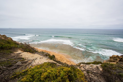 Ocean Grove Main Beach - Accommodation Sunshine Coast 1