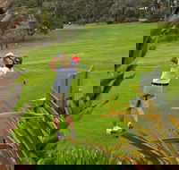 Pambula Merimbula Golf Club - Accommodation Sunshine Coast