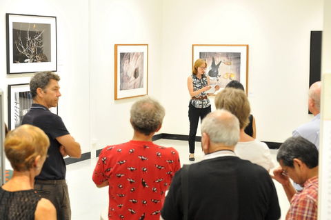 Pine Rivers Art Gallery - Accommodation Sunshine Coast 1