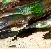 Platypus House - Accommodation Sunshine Coast