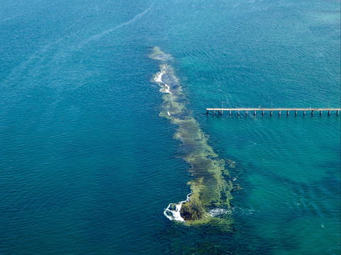 Port Noarlunga Reef Sanctuary Zone - Encounter Marine Park - Accommodation Sunshine Coast 0