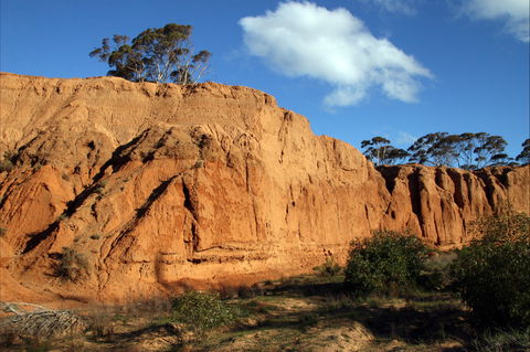 Red Banks Conservation Park - Accommodation Sunshine Coast 0