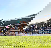 Rosehill Gardens Racecourse - Accommodation Sunshine Coast