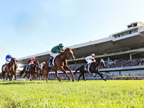 Rosehill Gardens Racecourse - Accommodation Sunshine Coast 0