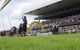 Rosehill Gardens Racecourse - thumb 1