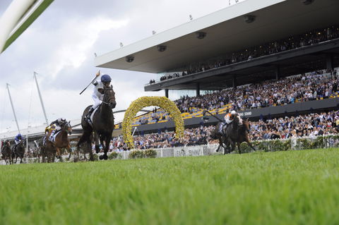 Rosehill Gardens Racecourse - Accommodation Sunshine Coast 1