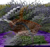Rustique Lavender Farm - Accommodation Sunshine Coast