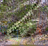 Sawpit Walking Track - Accommodation Sunshine Coast