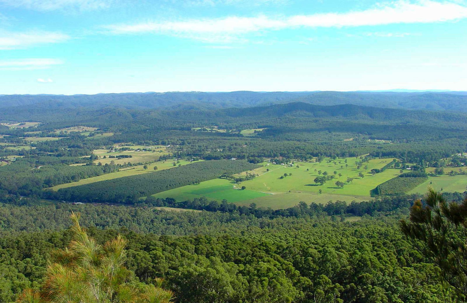 Bucca NSW Accommodation Sunshine Coast