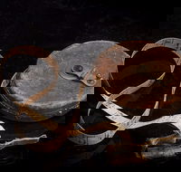 Shellharbour City Museum formerly Tongarra Museum - Accommodation Sunshine Coast