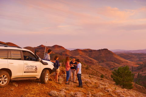Skytrek - Accommodation Sunshine Coast 0
