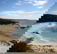 Snorkelling Mystery Bay - Accommodation Sunshine Coast