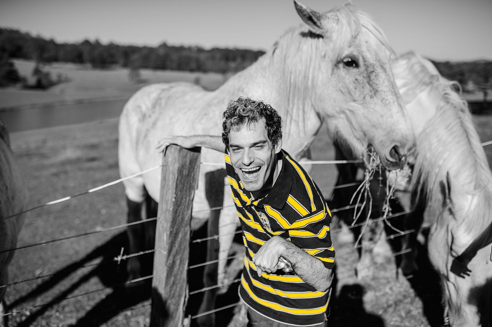 Weston NSW Accommodation Sunshine Coast