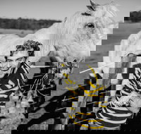 Spring Markets - Accommodation Sunshine Coast