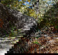 Starlights Trail - Accommodation Sunshine Coast