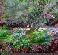 Sugar Creek Picnic Area - Accommodation Sunshine Coast