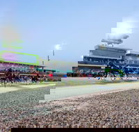 Tabcorp Park - Accommodation Sunshine Coast