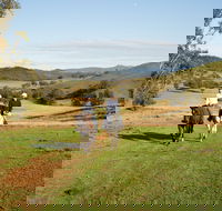 Tamworth and Kootingal Horse Riding Adventures - Accommodation Sunshine Coast
