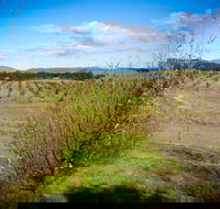 Tarago Truffles - Accommodation Sunshine Coast