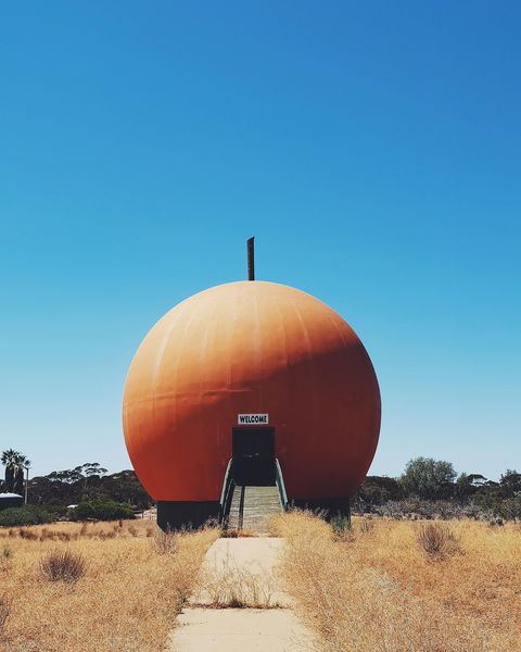 The Big Orange - Accommodation Sunshine Coast 0