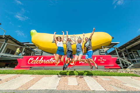 The Big Banana Fun Park - Accommodation Sunshine Coast 0